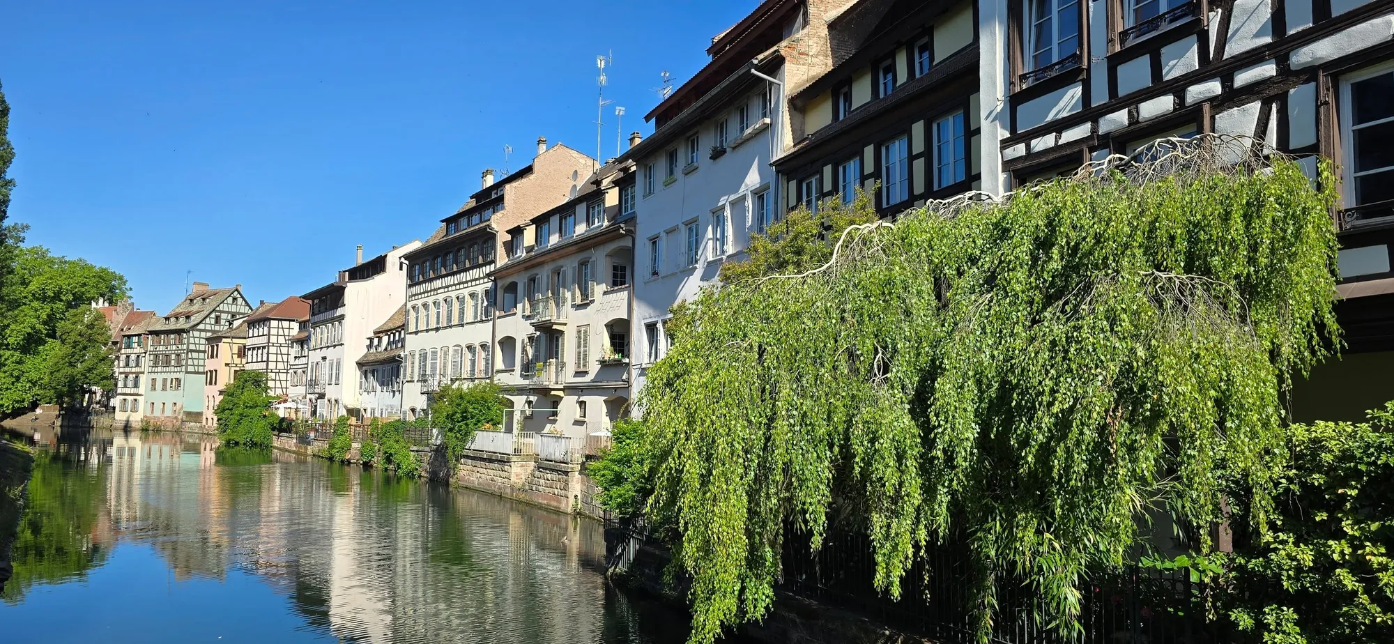 Strasbourg 11