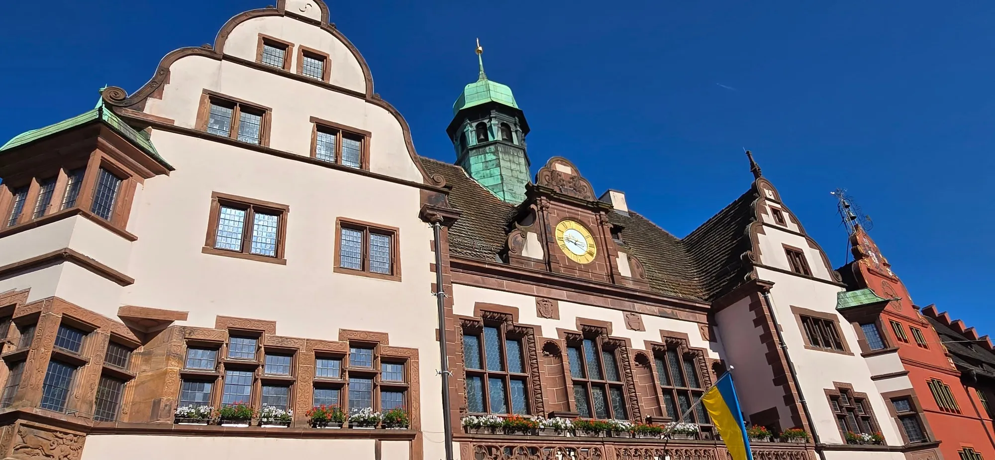 Freiburg 7