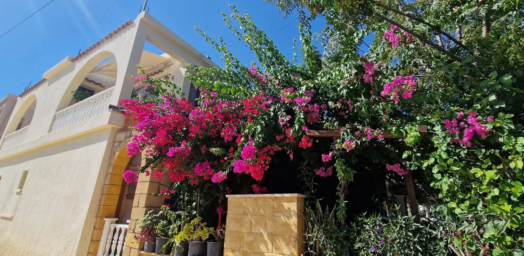 Paphos 1