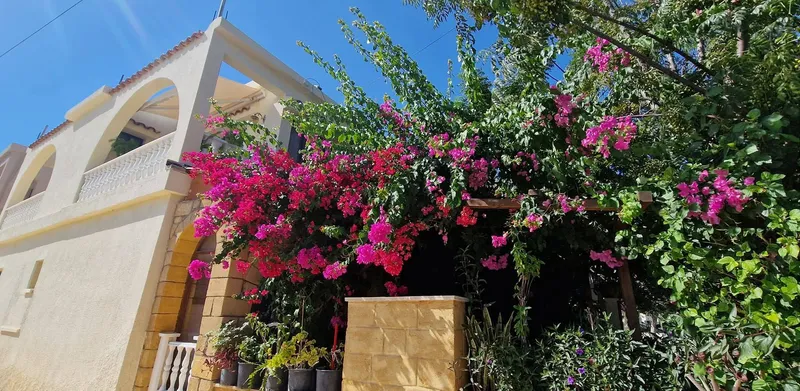Paphos 1