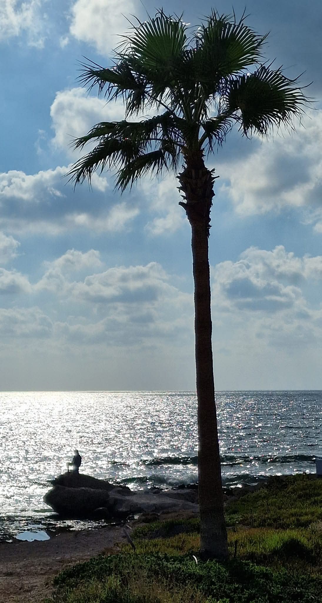 Paphos 8