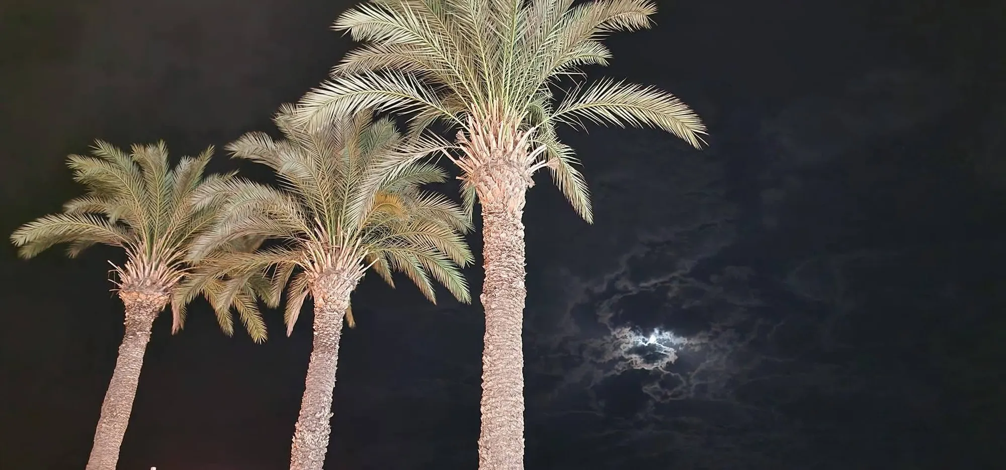Paphos 11