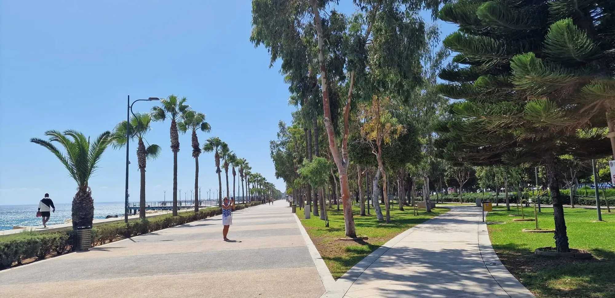 Limassol 7