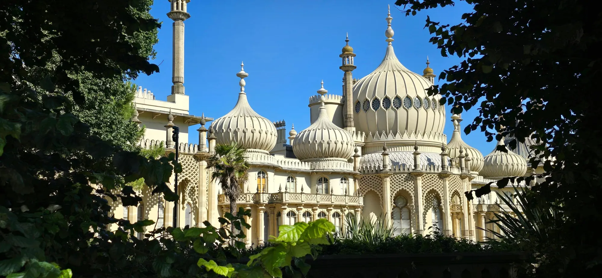 Brighton 17