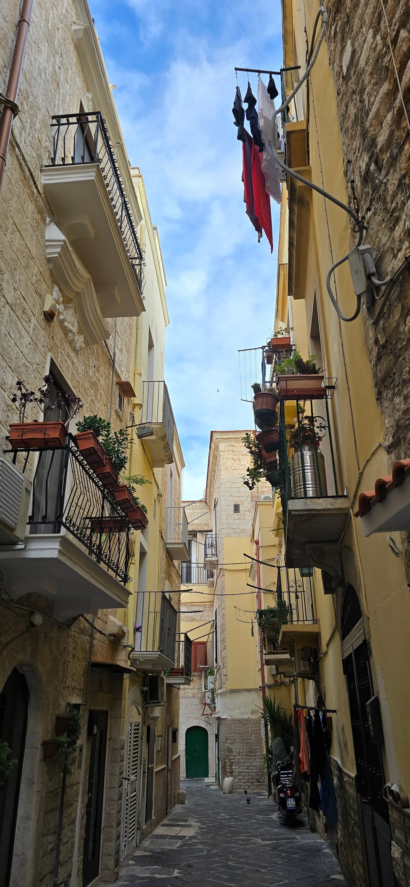 Bari 13