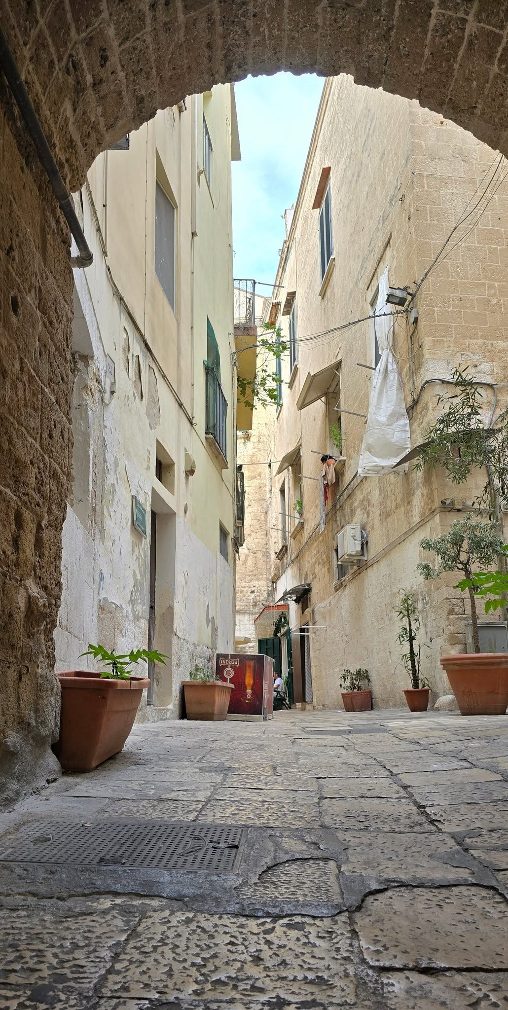 Bari 14