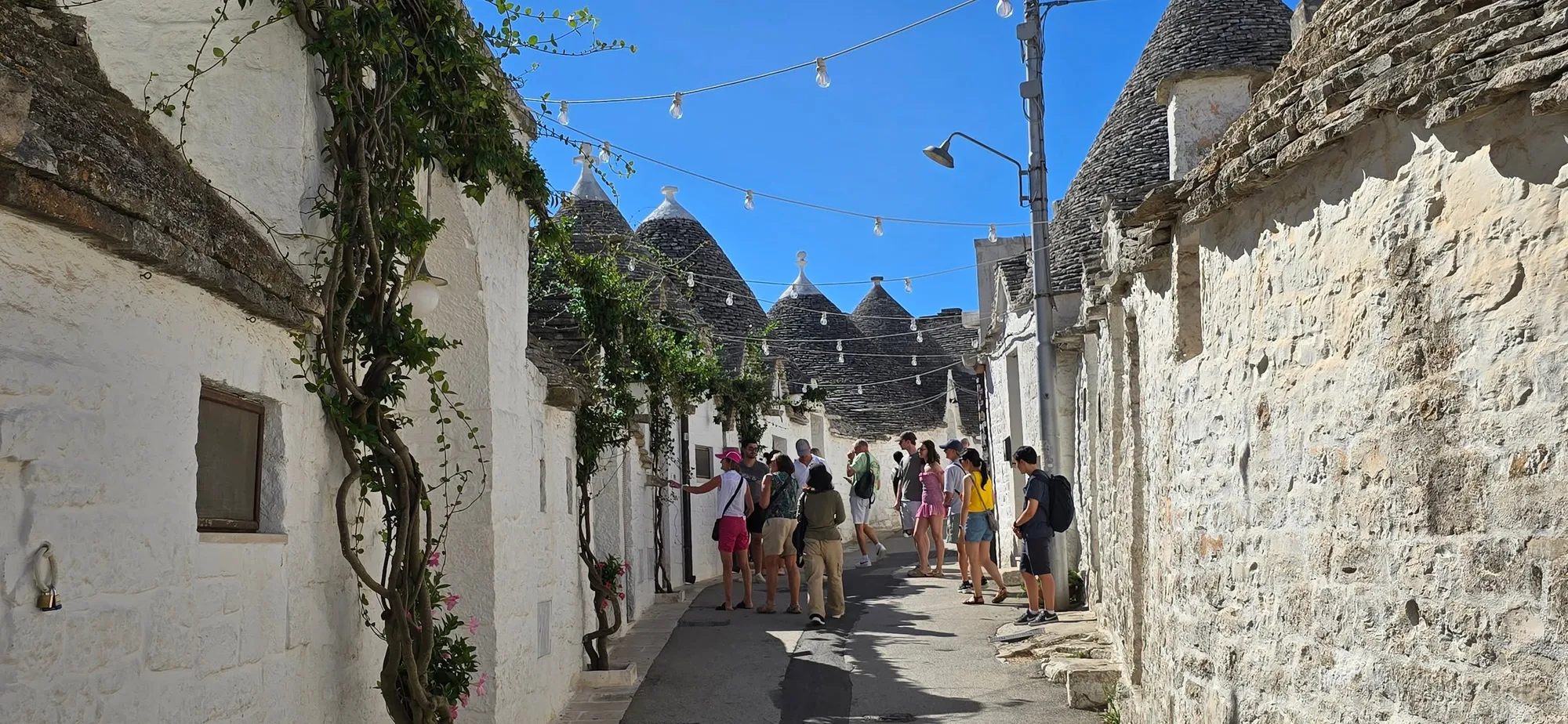 Alberobello 7
