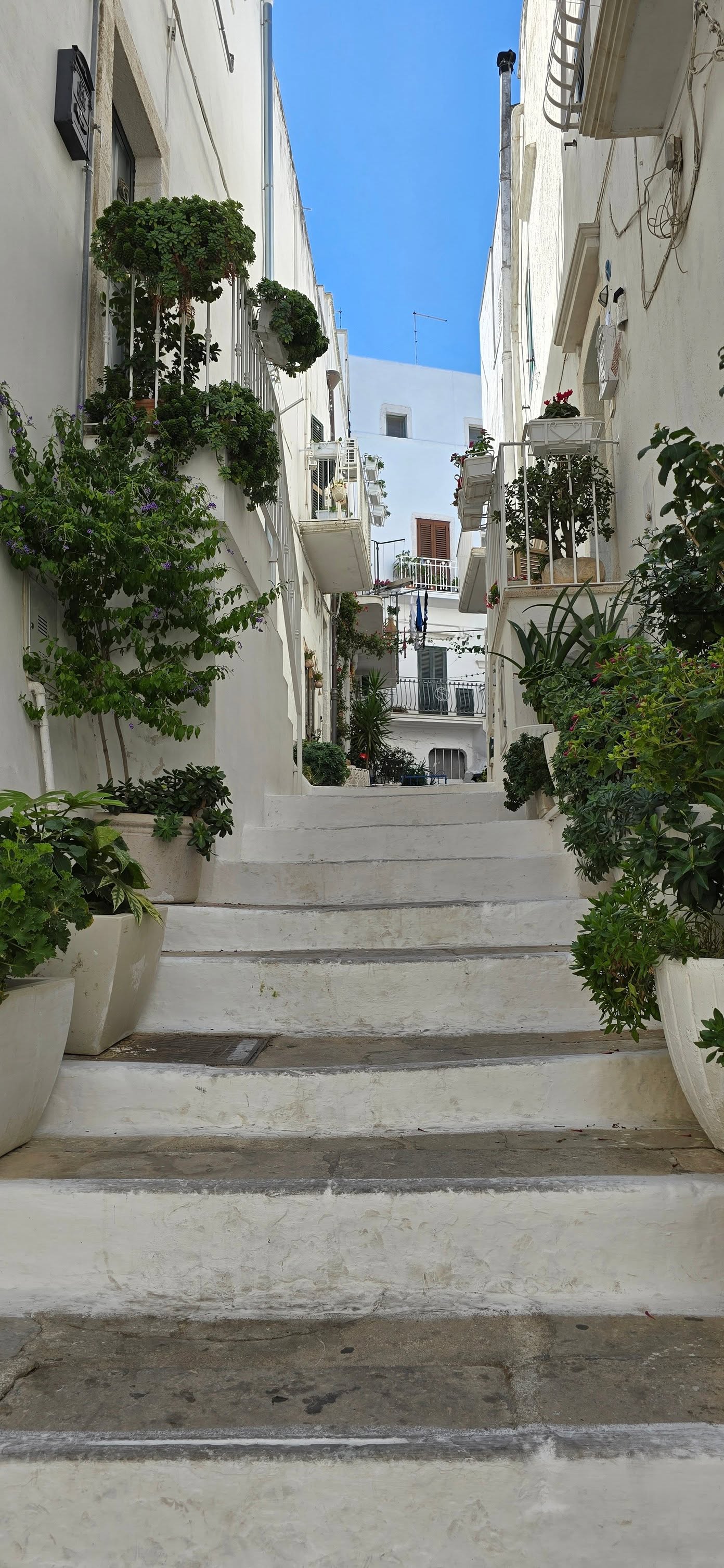 Ostuni 8