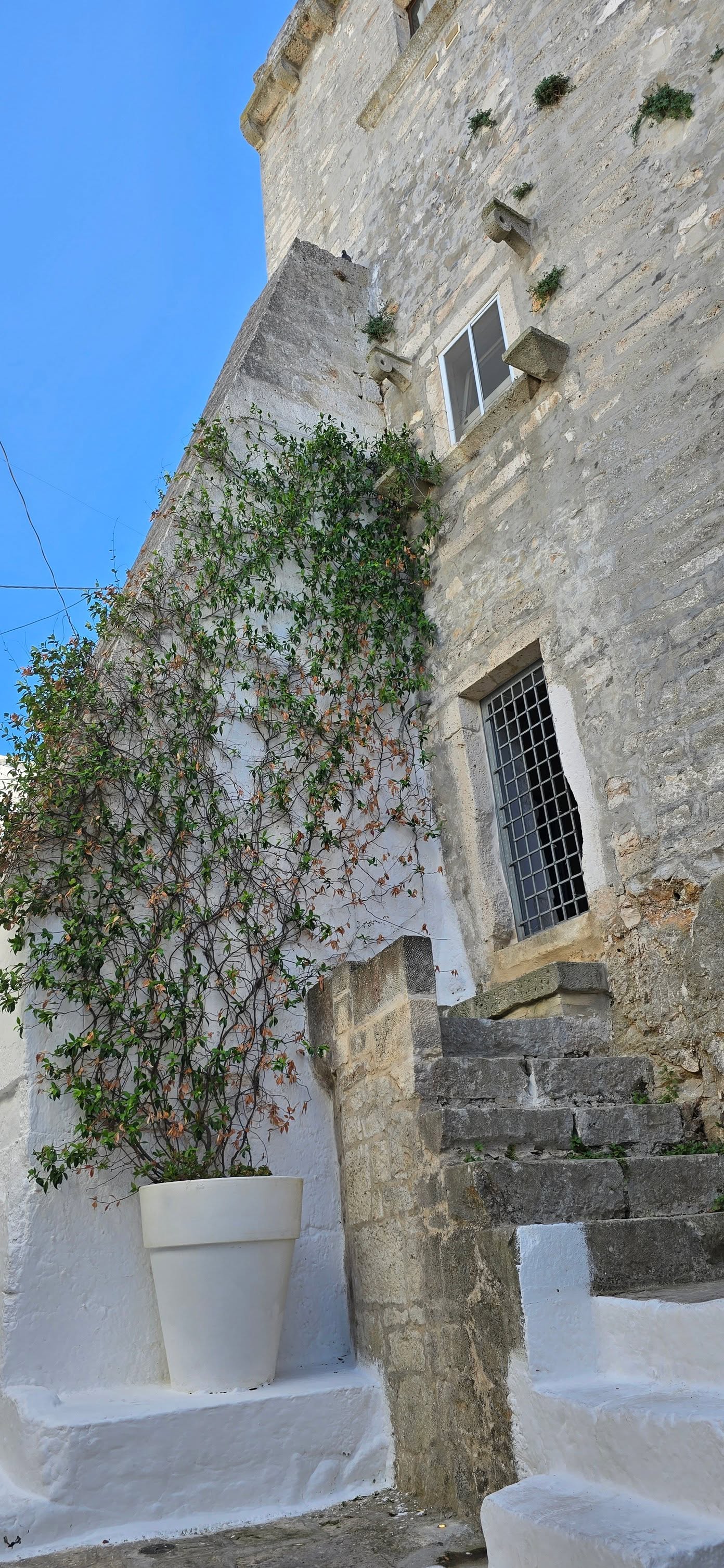 Ostuni 16