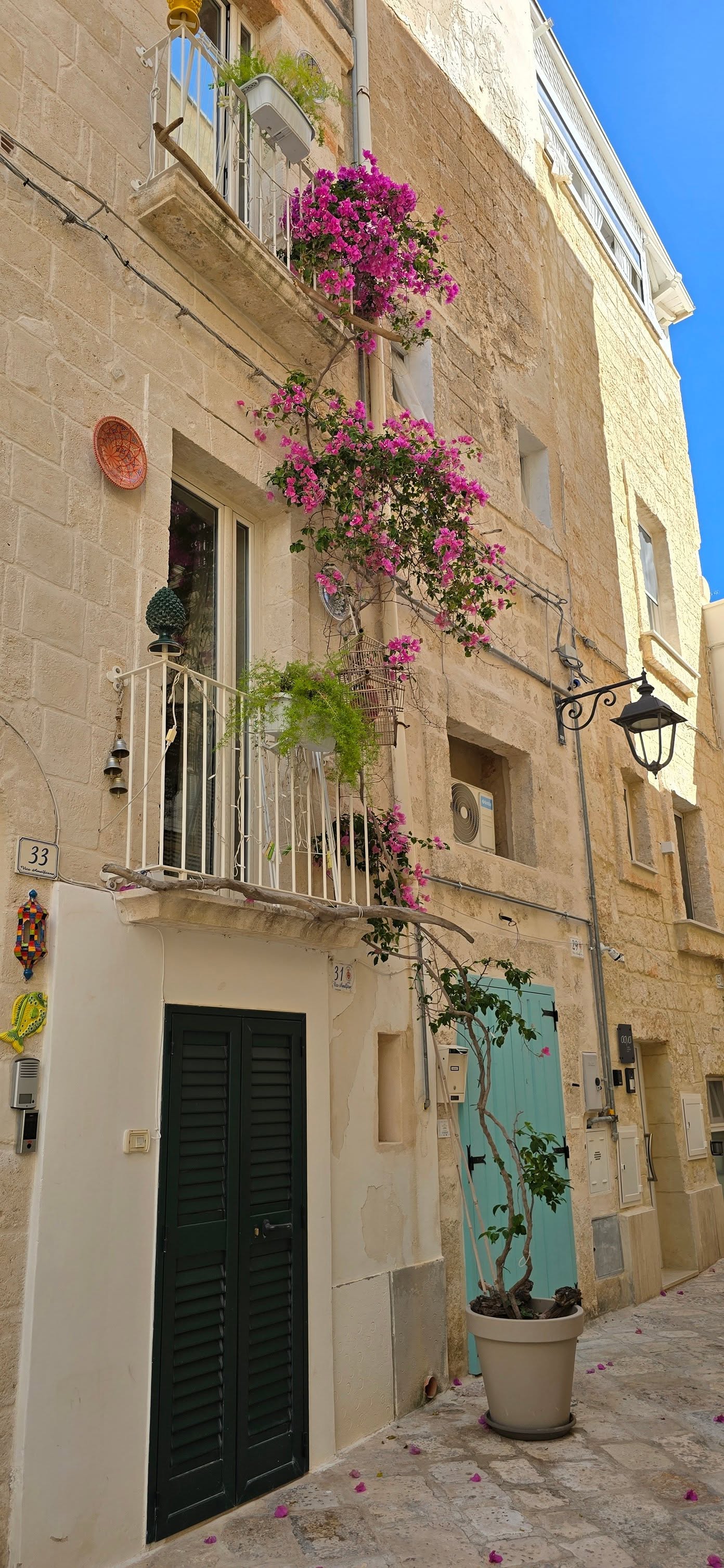 Monopoli 5