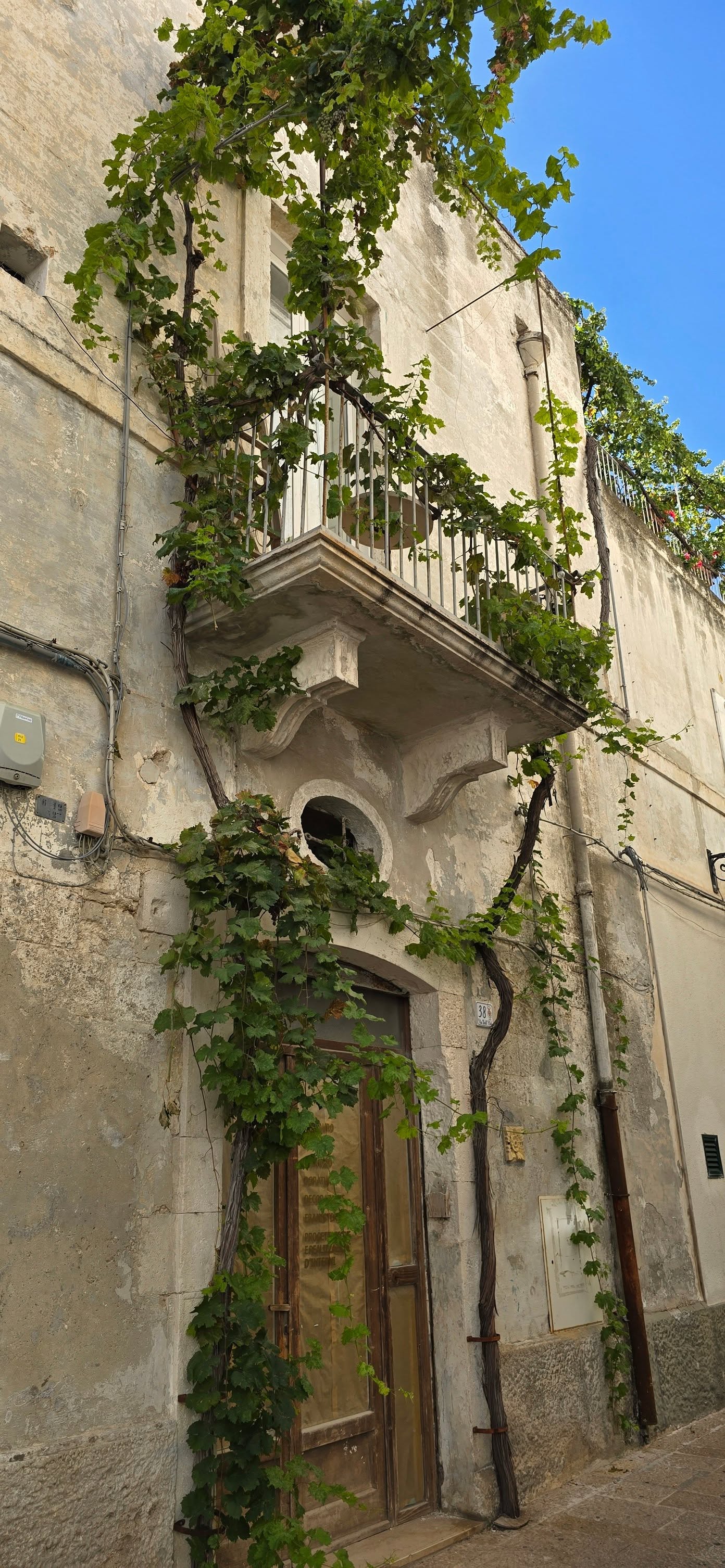 Monopoli 7