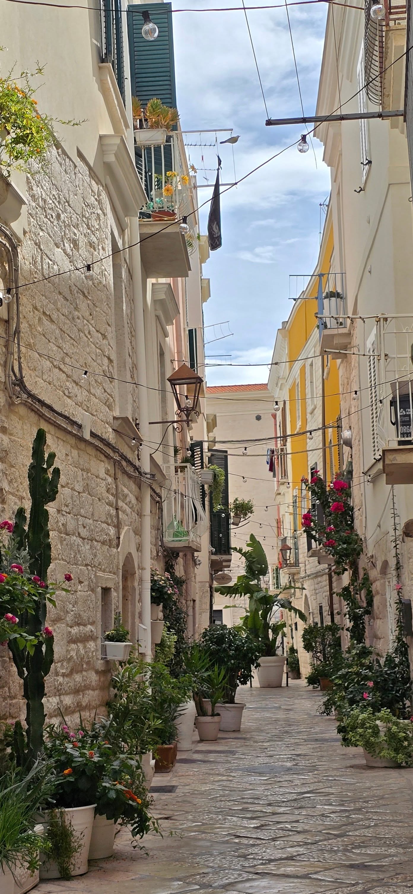 Trani 3