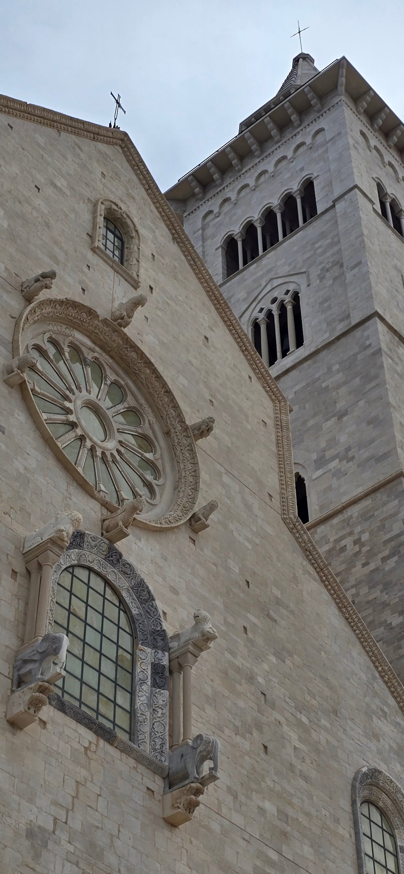 Trani 13
