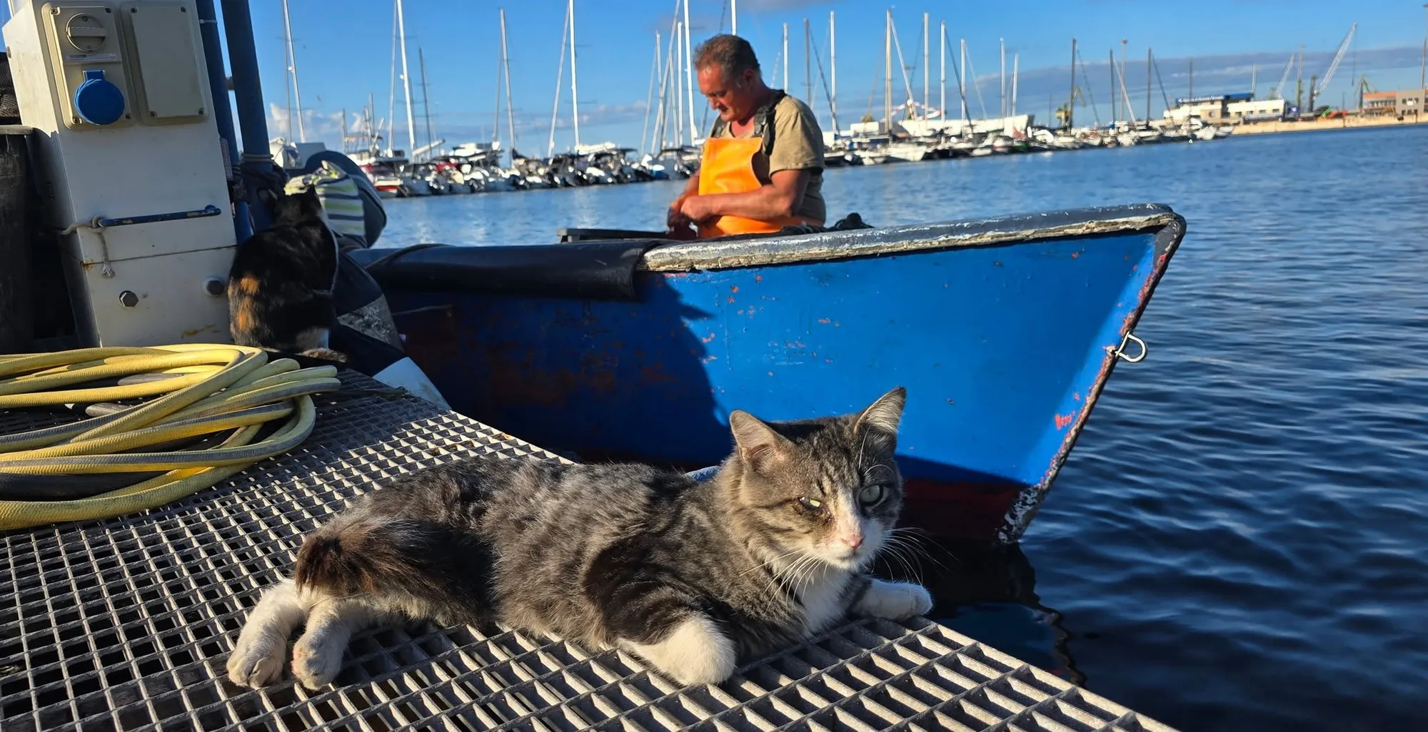 Taranto 7
