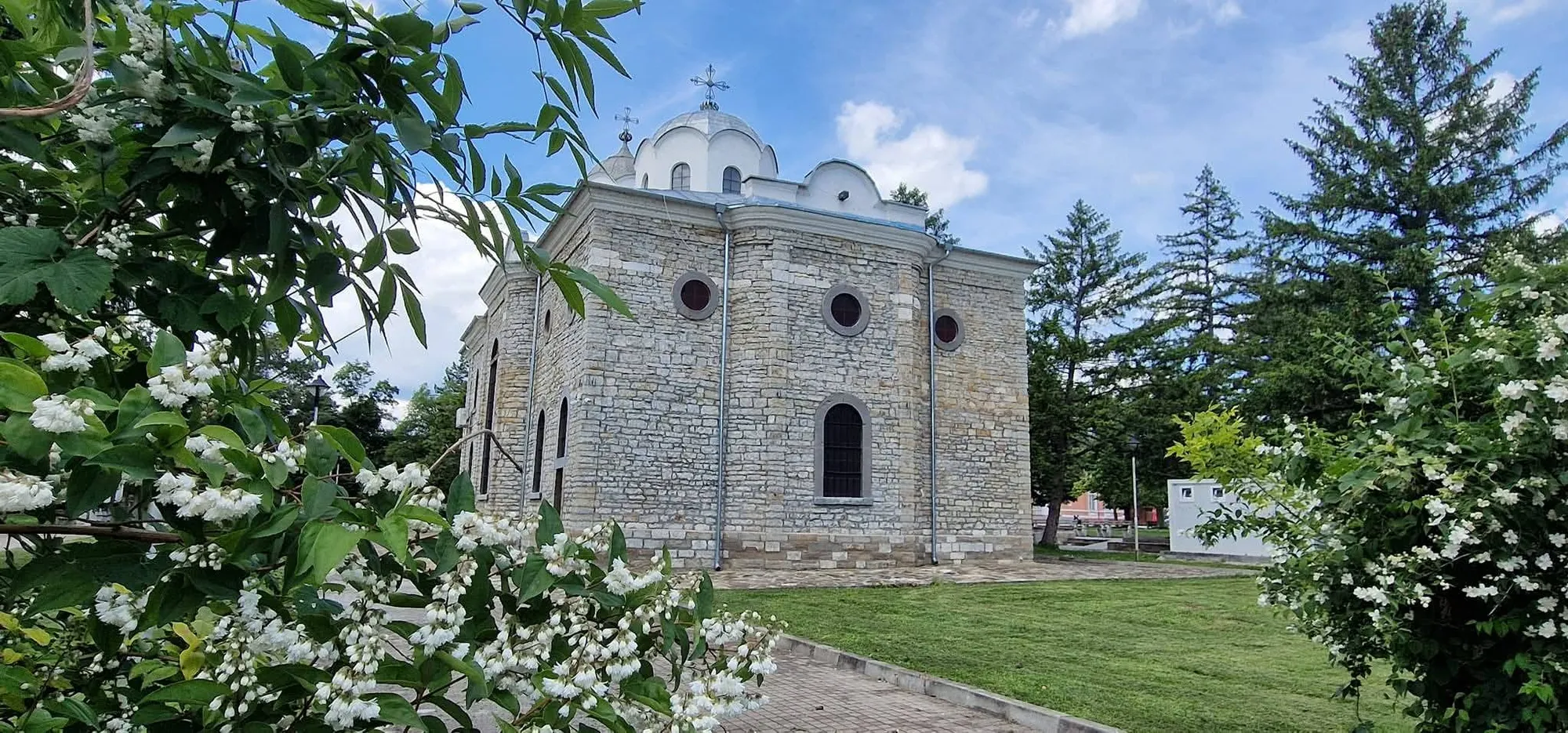 Луковит 7