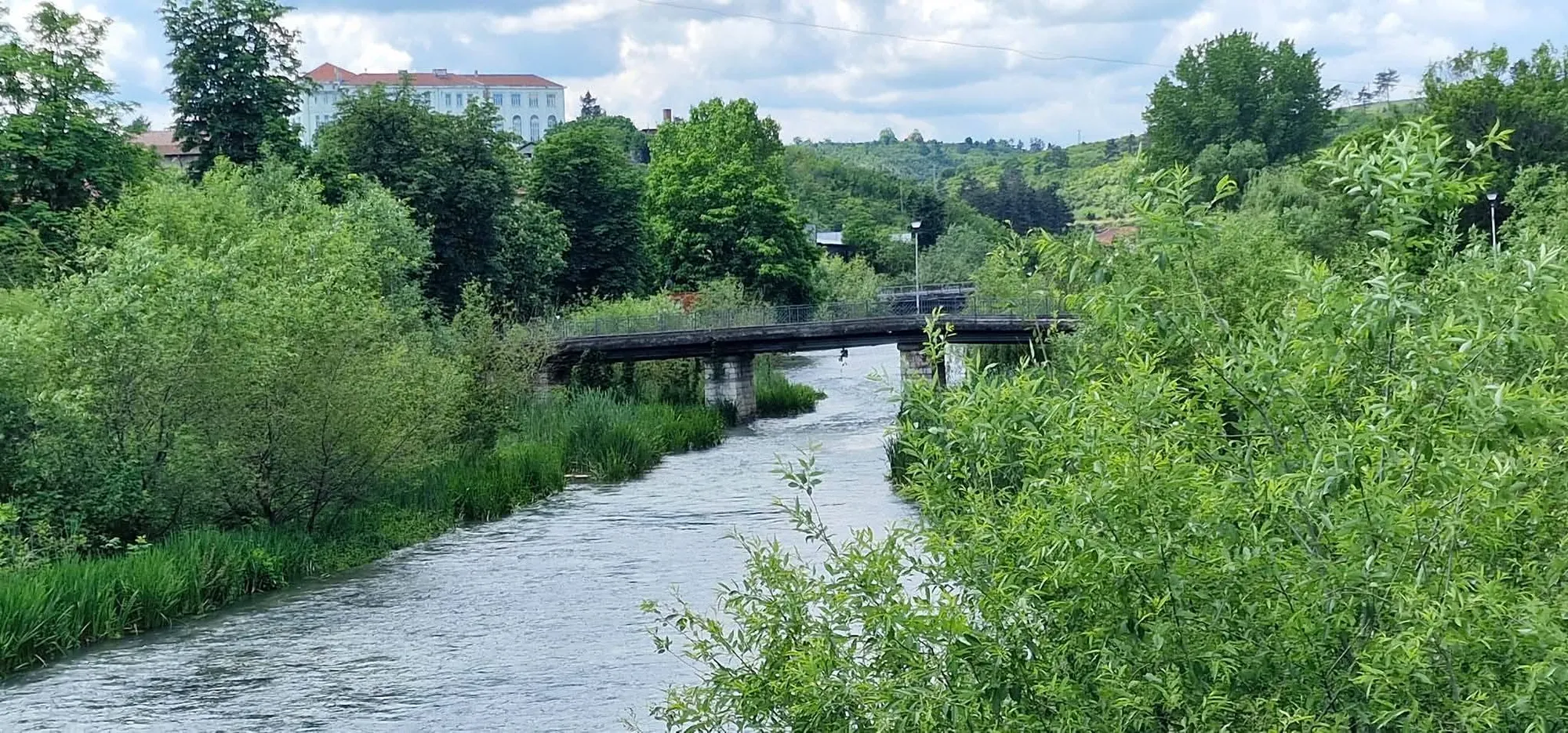 Луковит 13