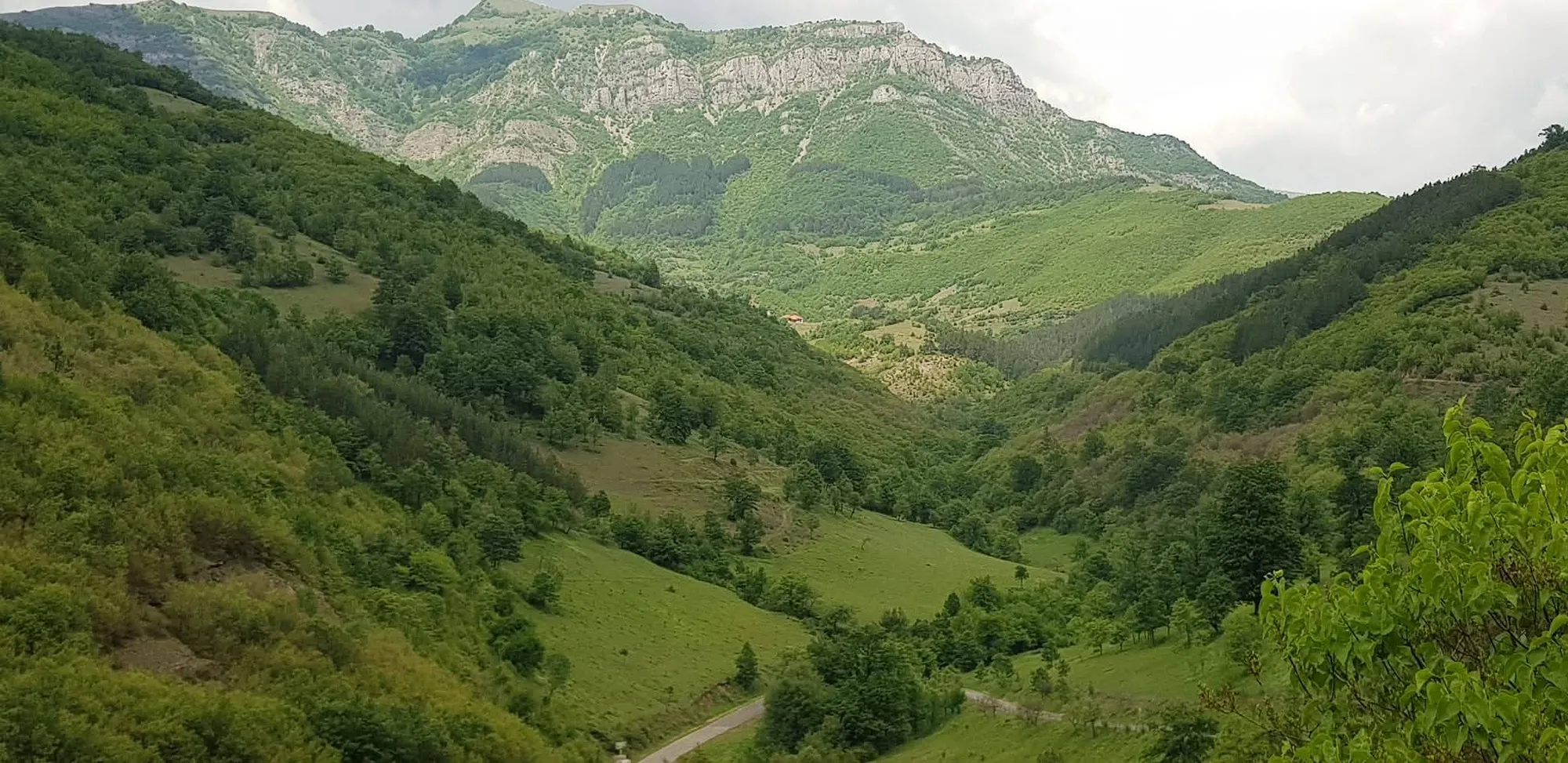 Vraca 5