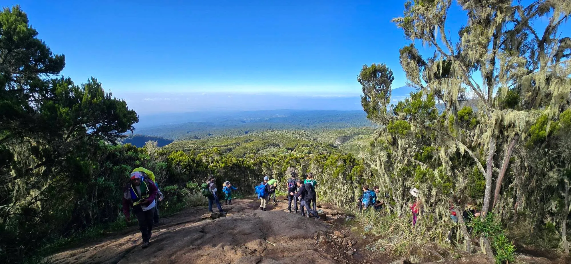 Uhuru Peak 6