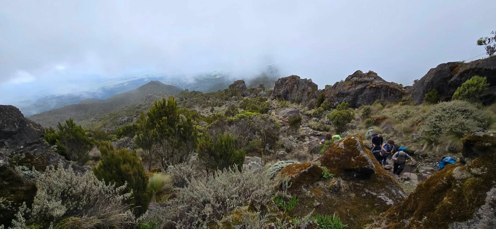 Uhuru Peak 8
