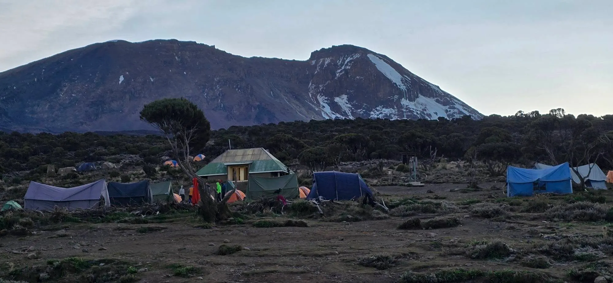 Uhuru Peak 12