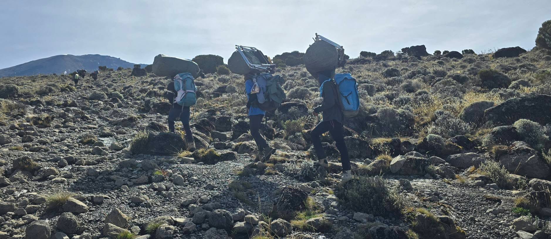 Uhuru Peak 15