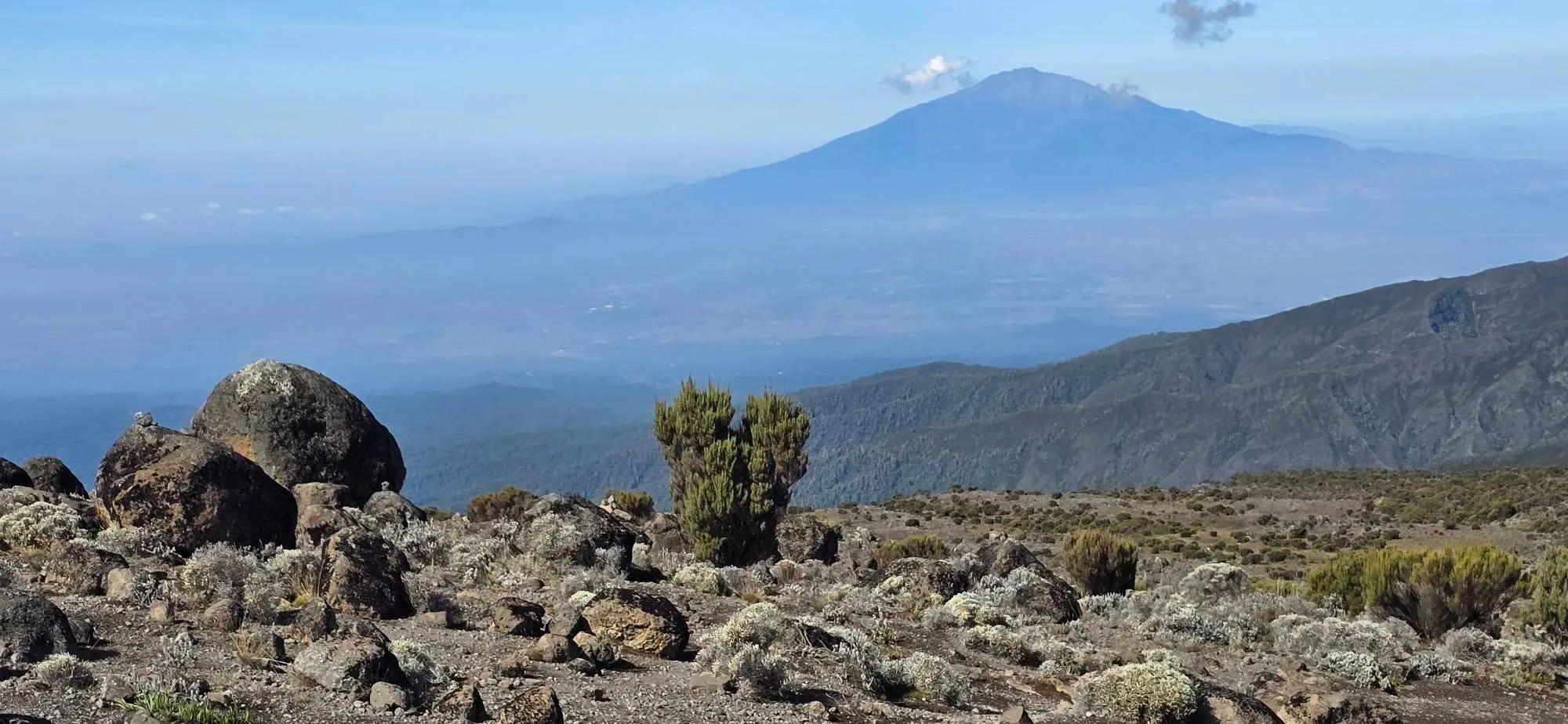 Uhuru Peak 18