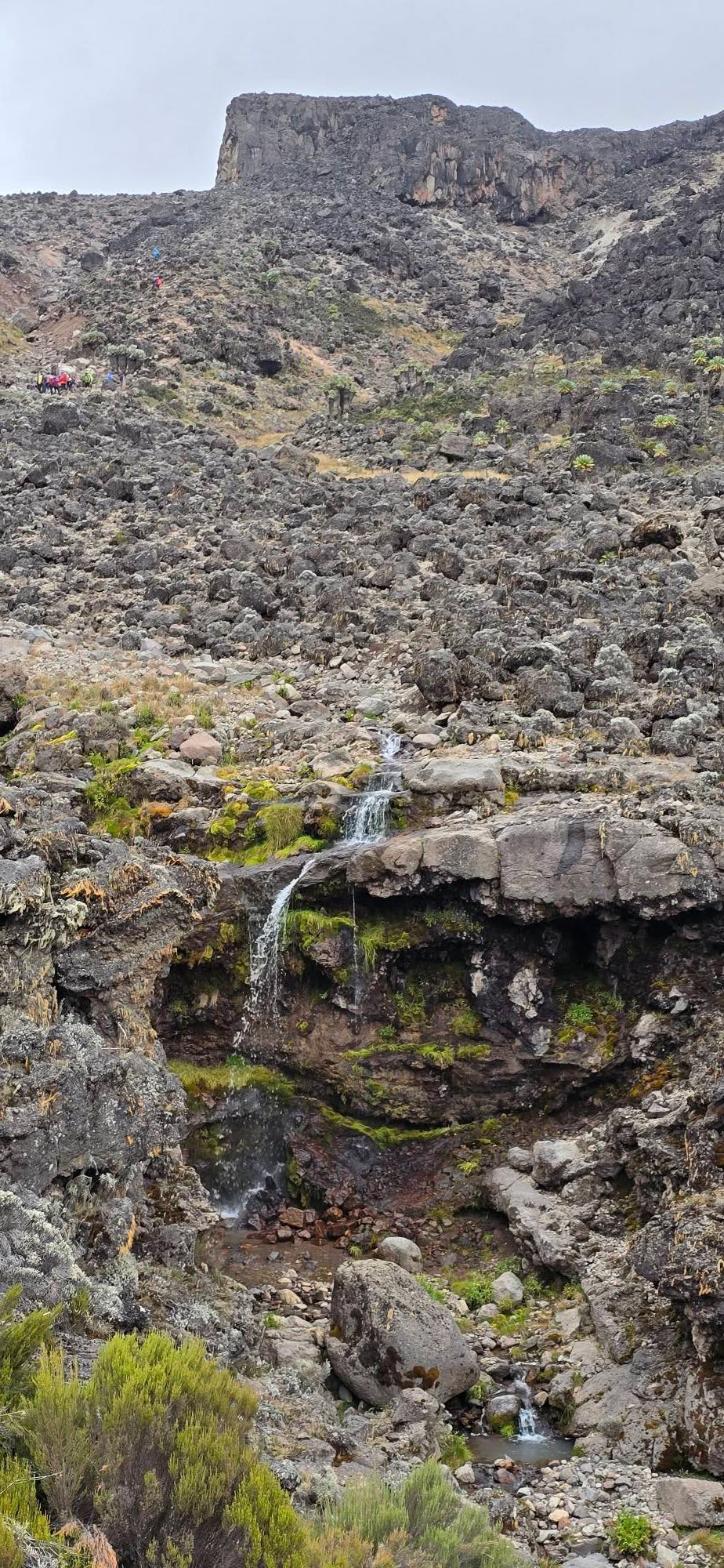 Uhuru Peak 25