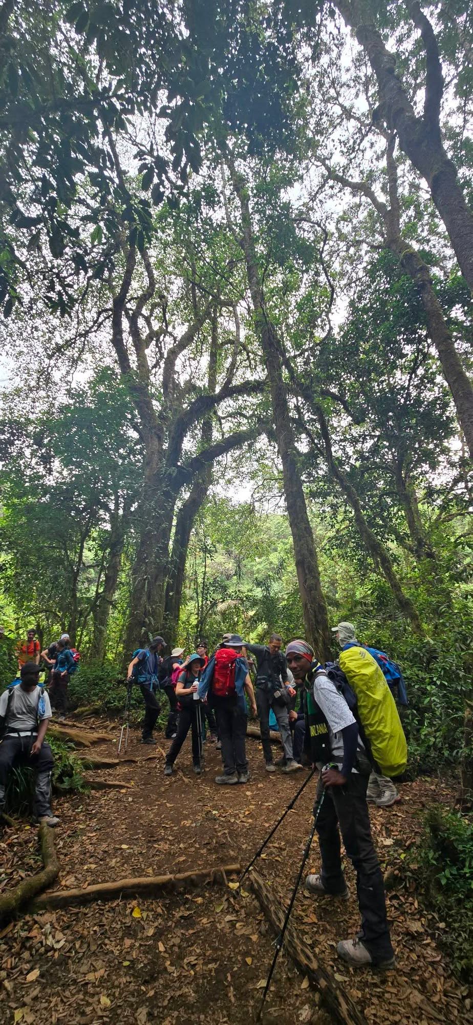 Mount Kilimanjaro 8
