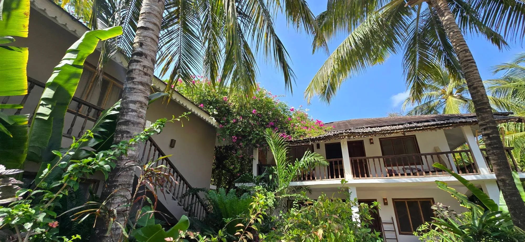 Zanzibar 5