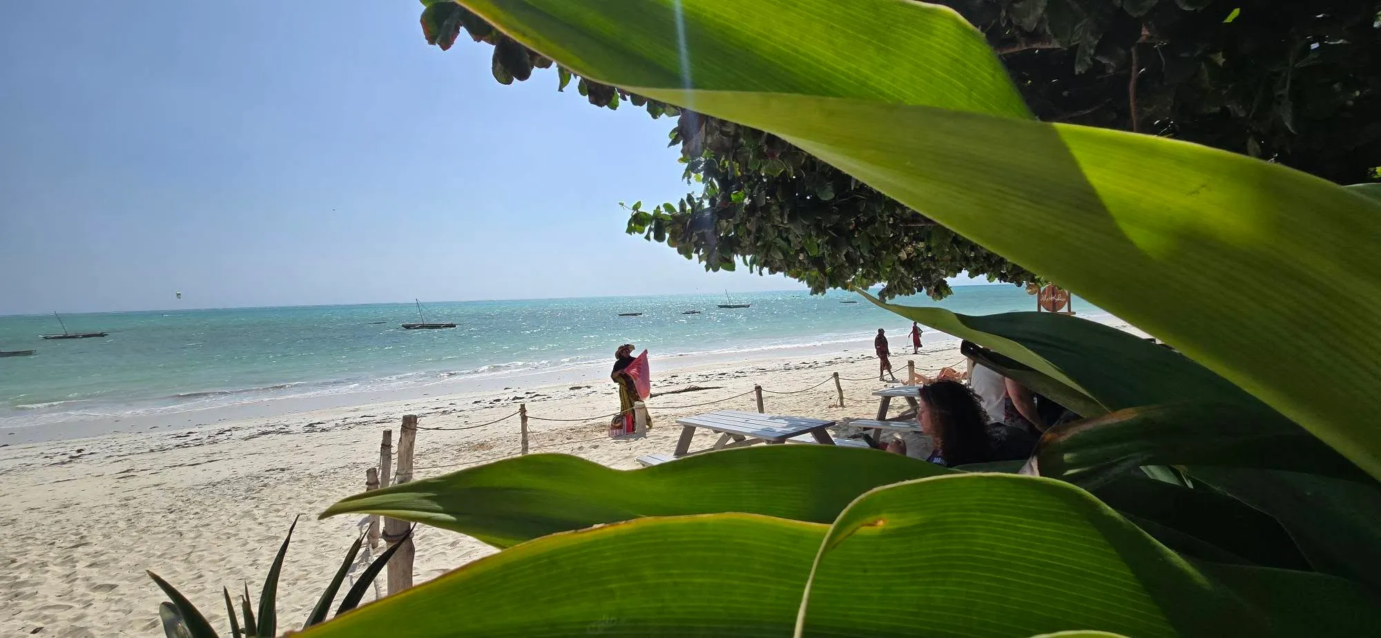 Zanzibar 7