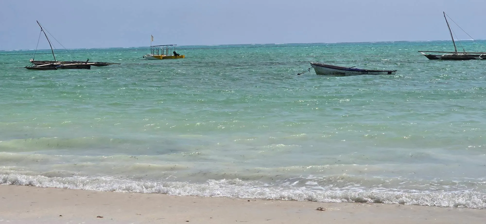 Zanzibar 8
