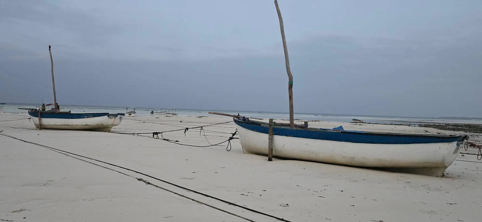 Zanzibar 1