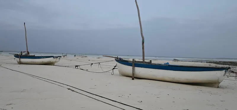 Zanzibar 1
