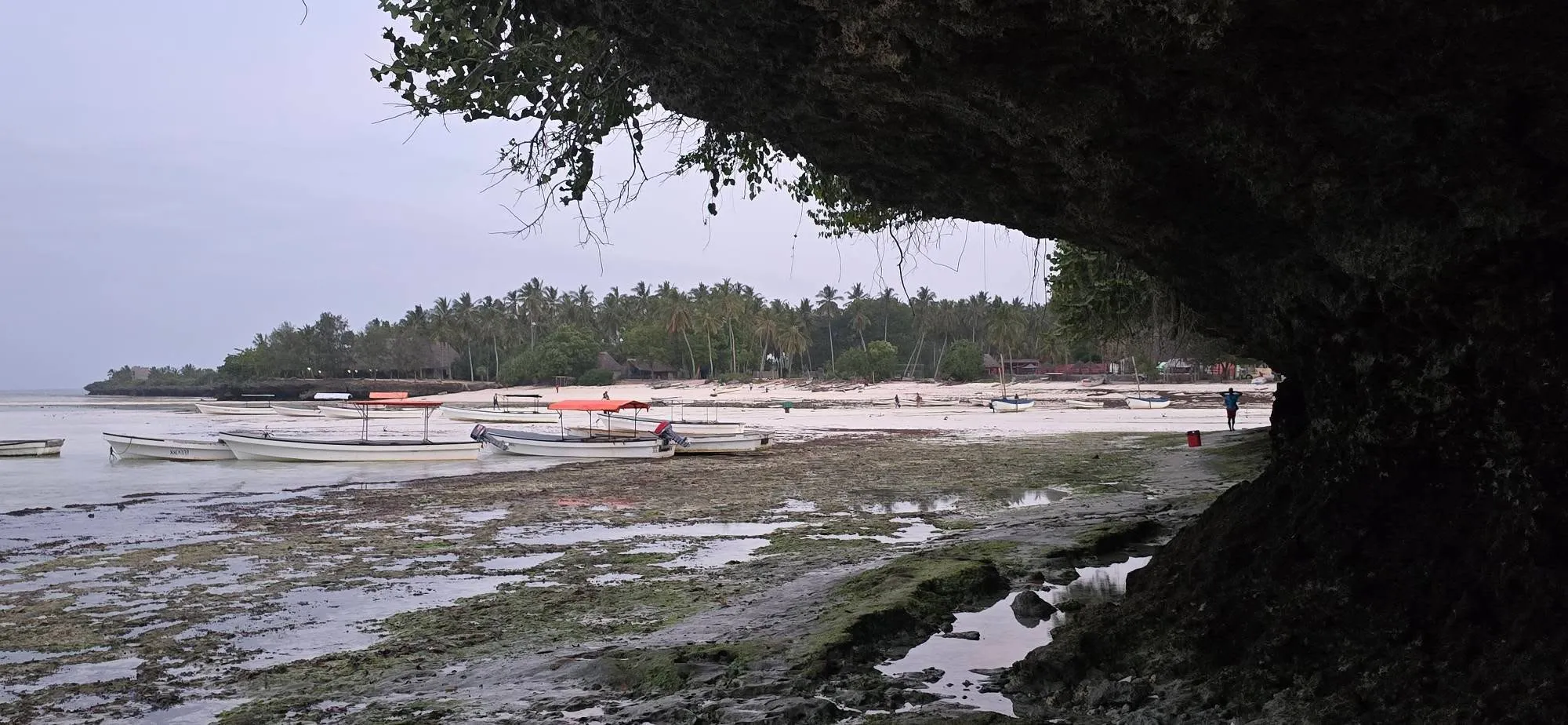 Zanzibar 3