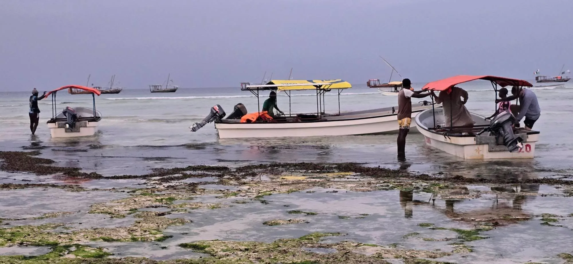 Zanzibar 4