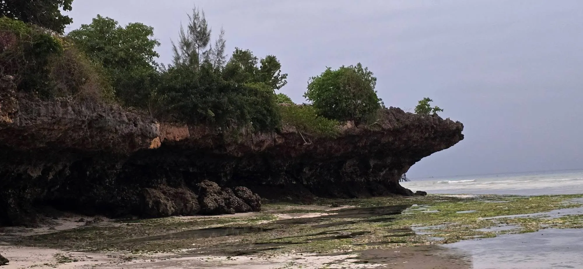 Zanzibar 5