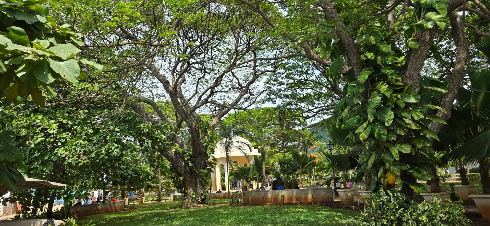Stone Town 20