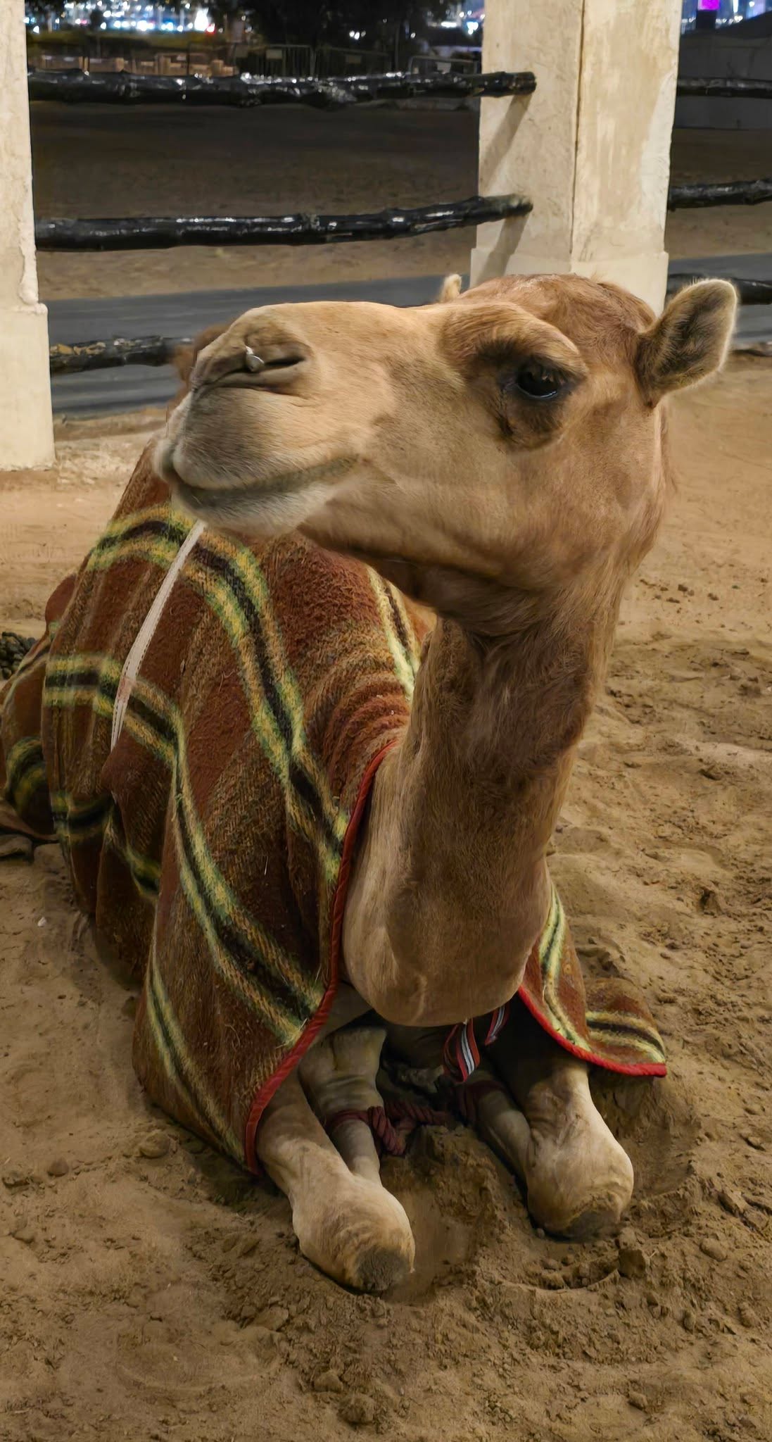 Doha 14