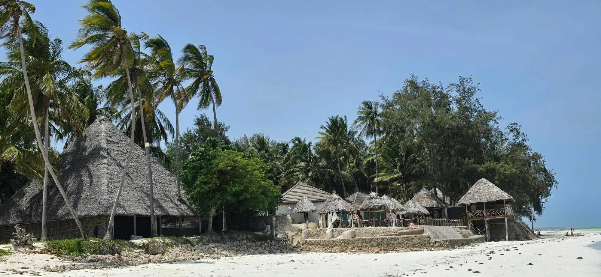 Zanzibar 26