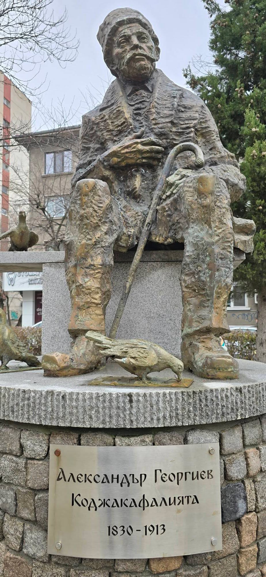 Burgas 5