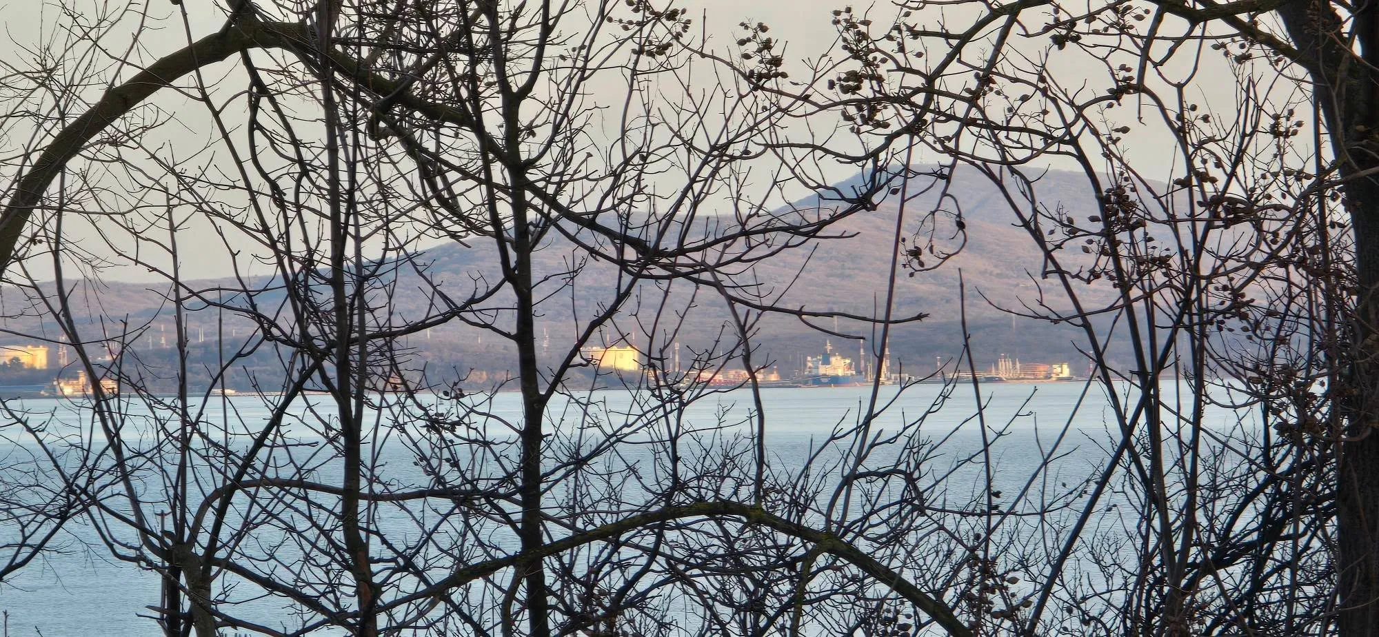 Burgas 6