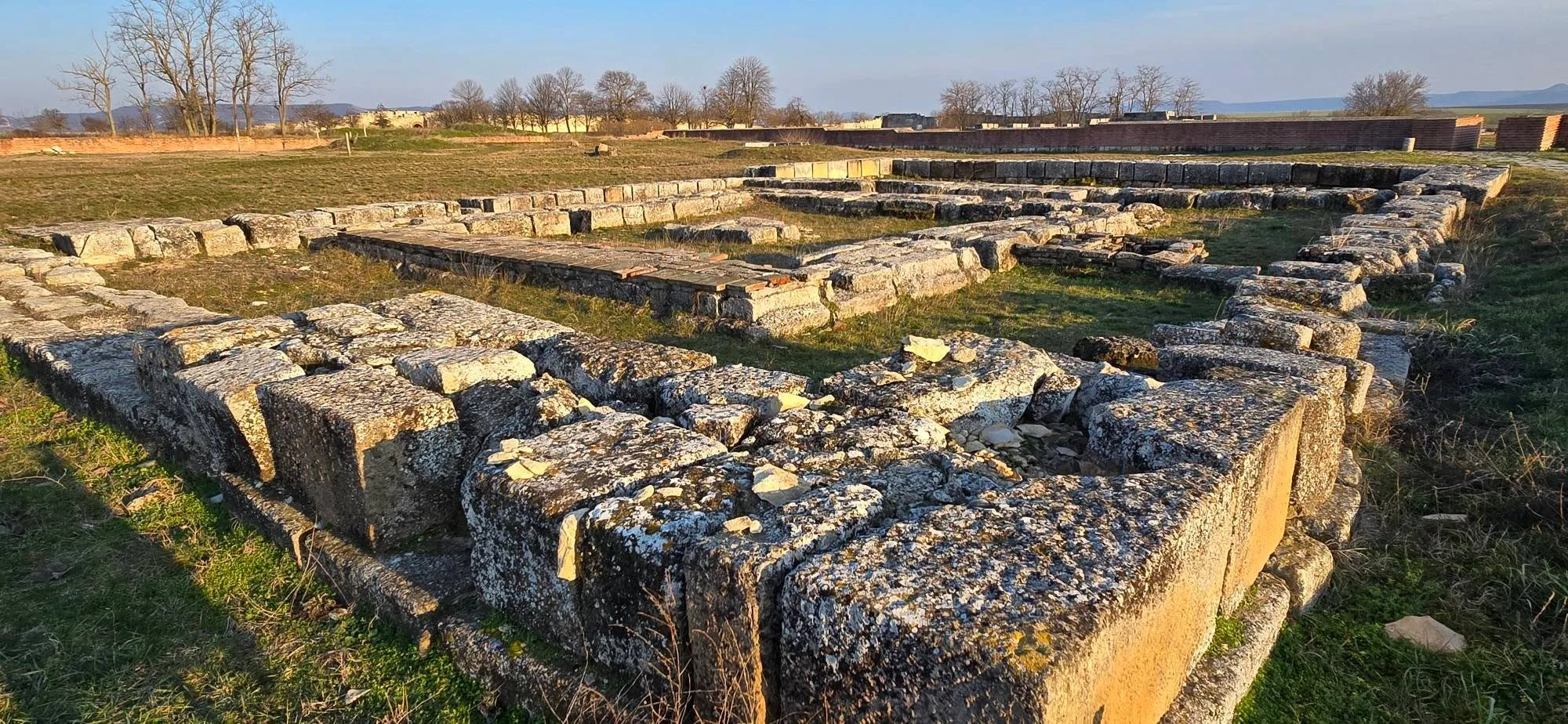 Плиска 24