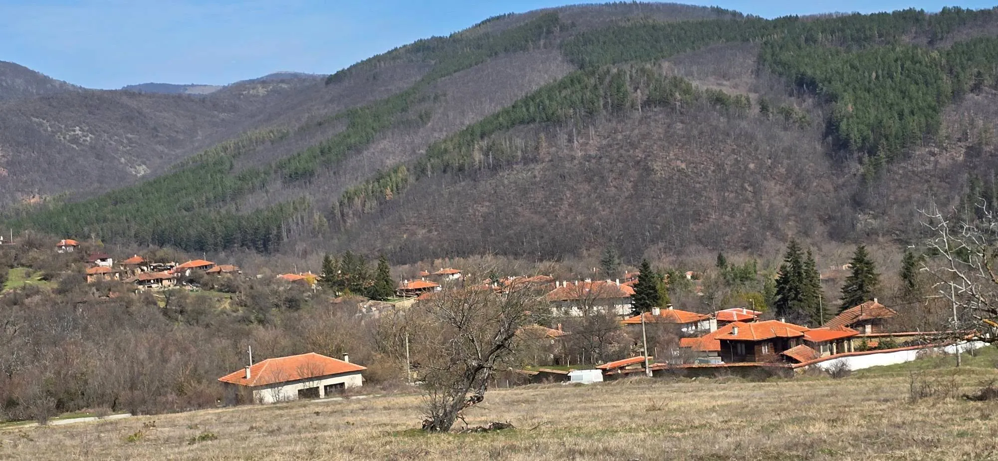Село Медвен 2