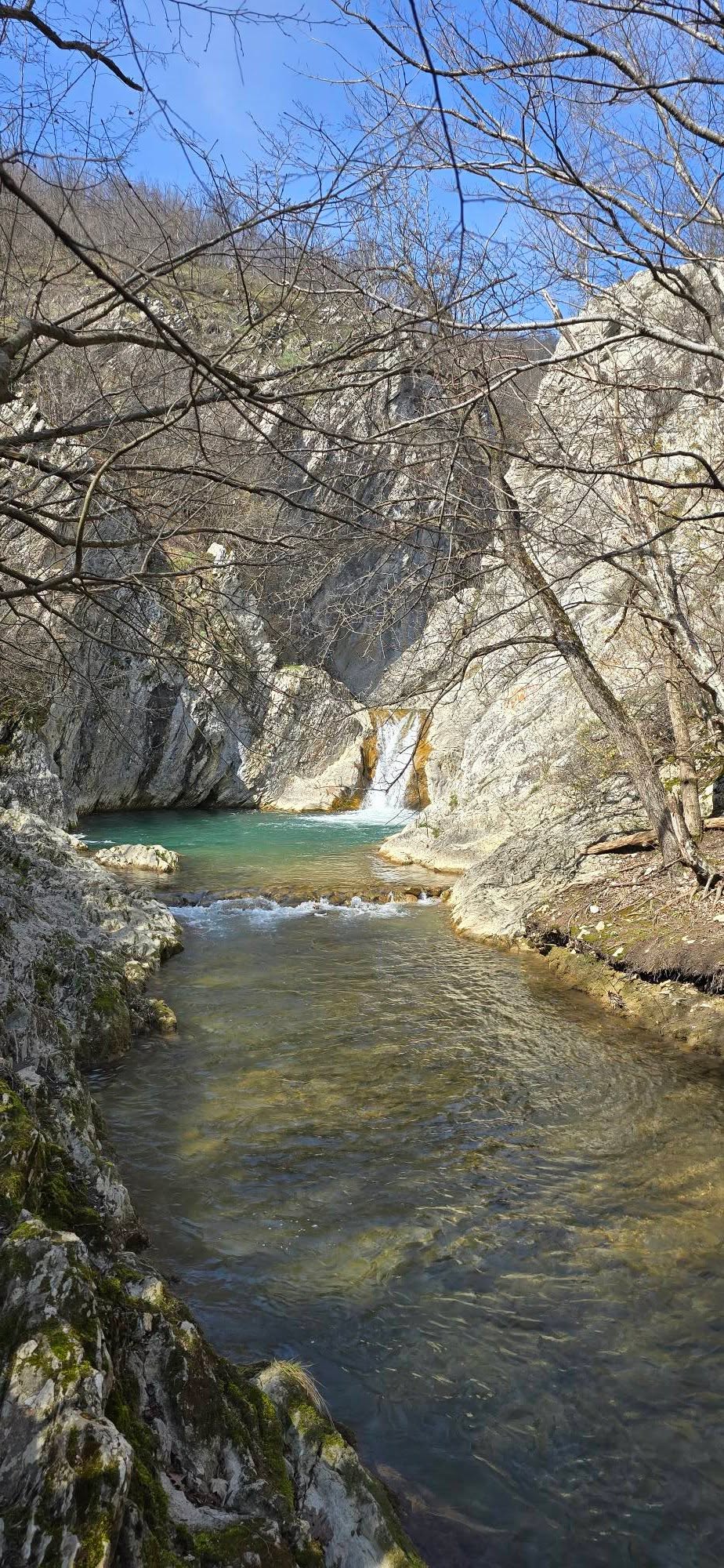 Село Медвен 17