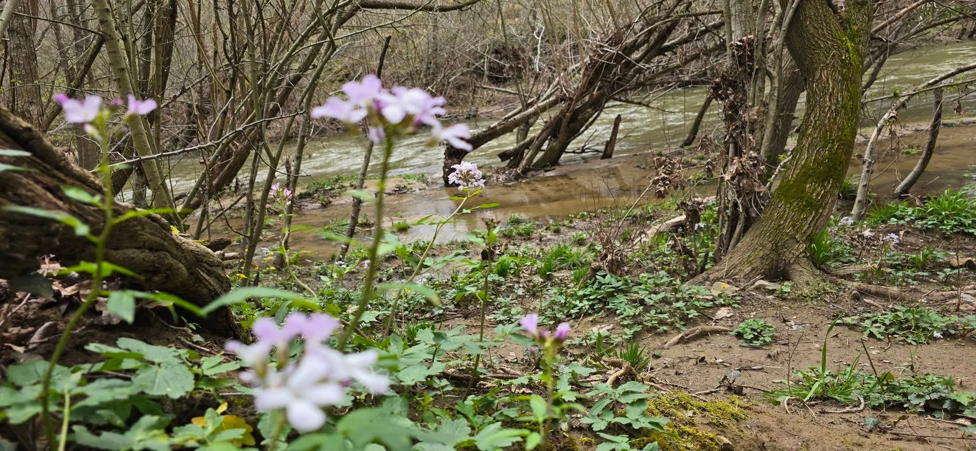 Veleka River 14