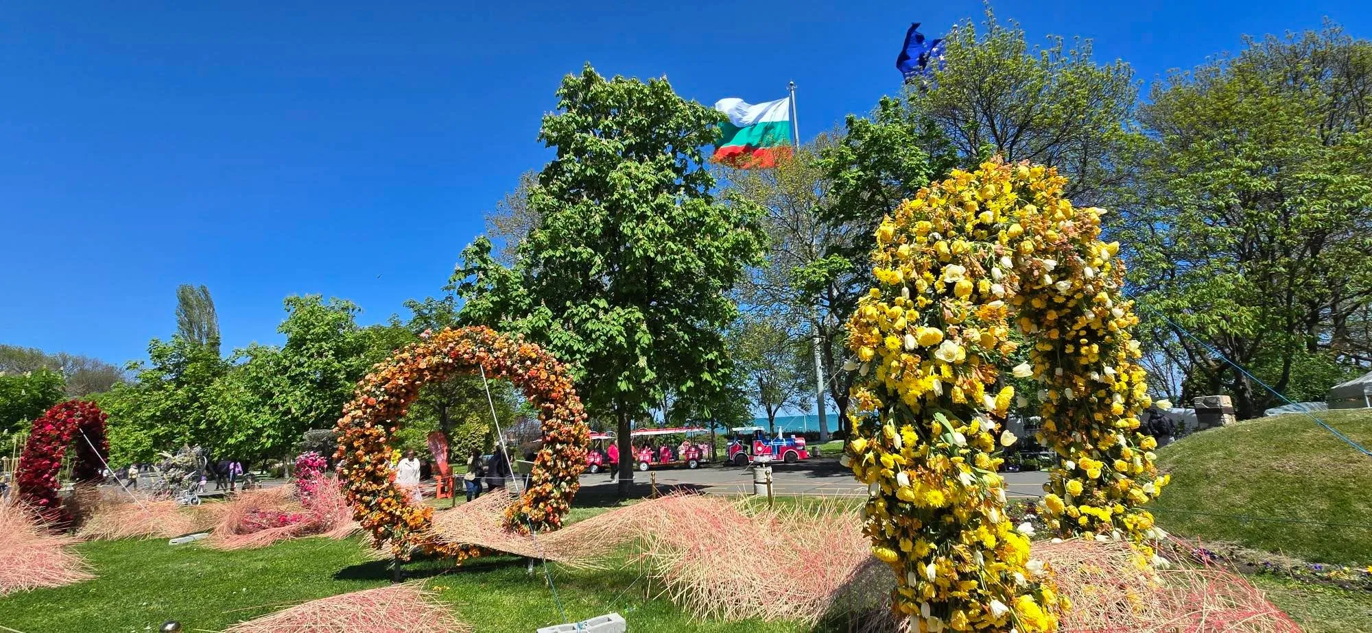 Burgas 21