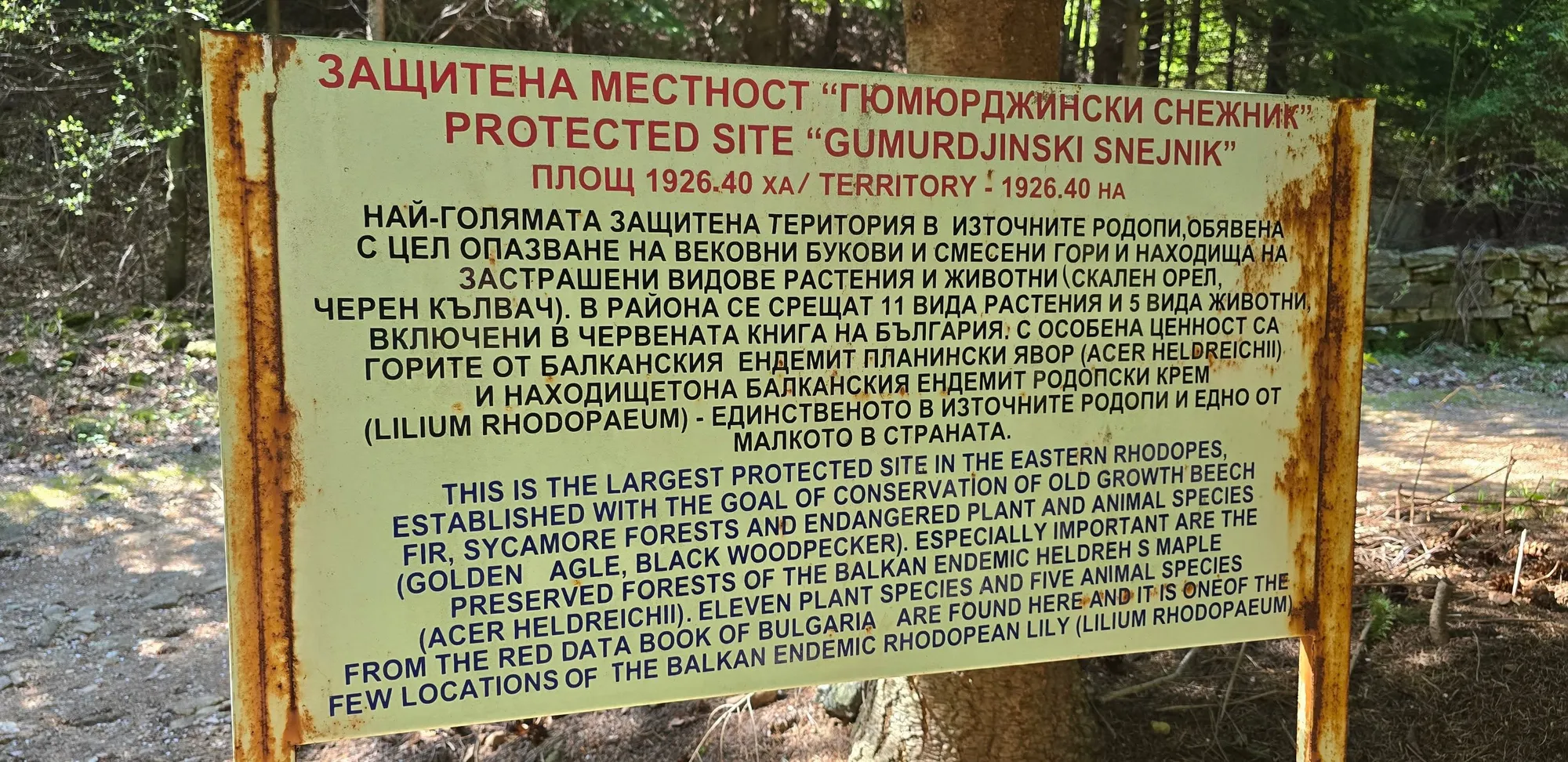 Връх Вейката 1