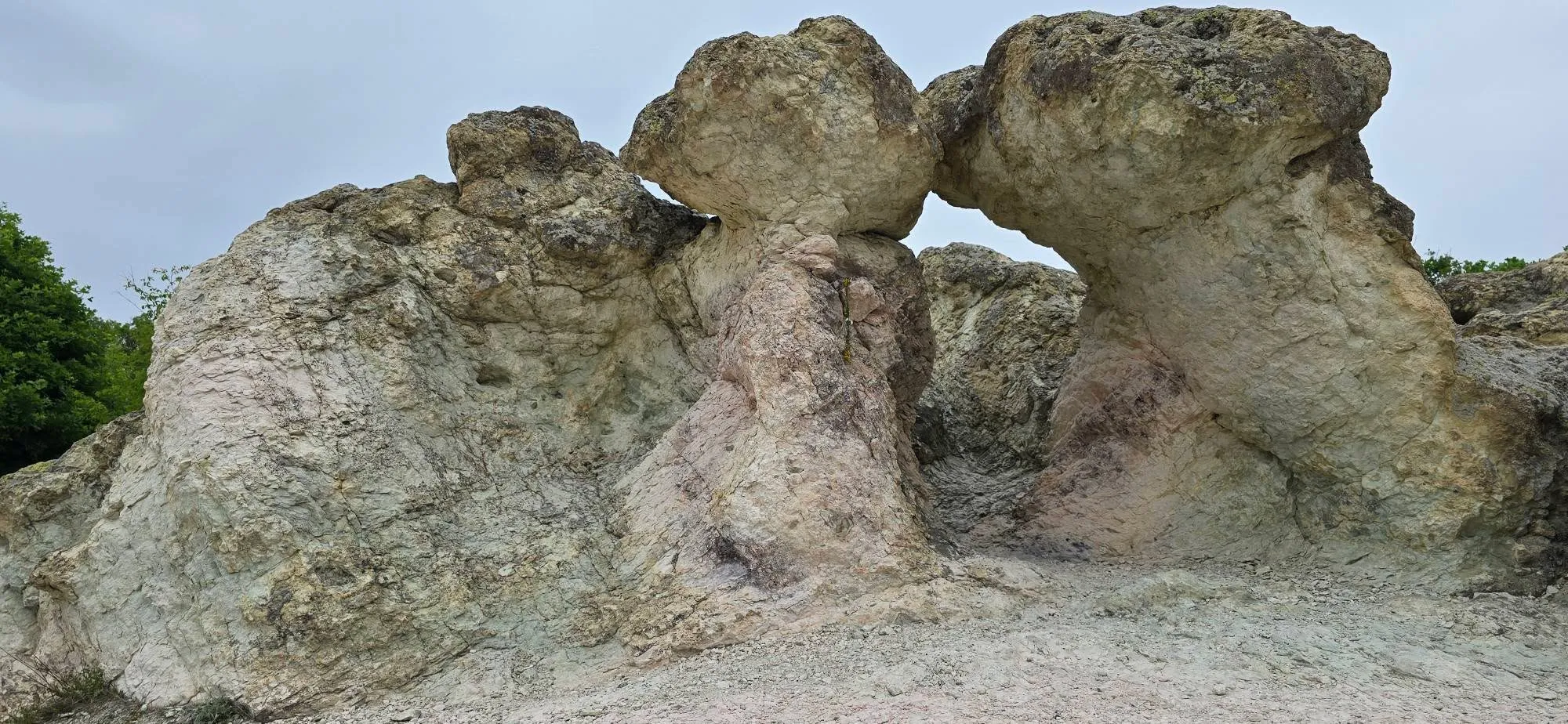 Каменни гъби 3