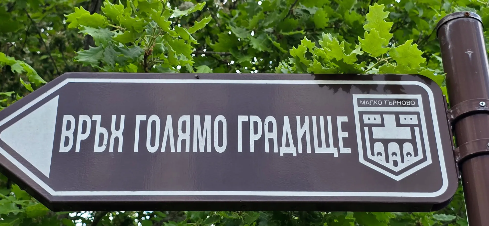 Връх Голямо Градище 1