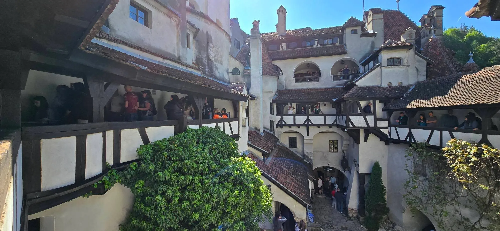 Bran Castle 2